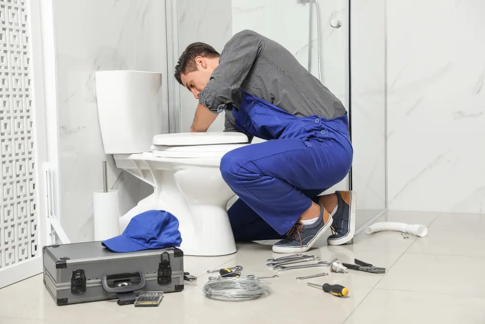 Toilet Installation in Hercules